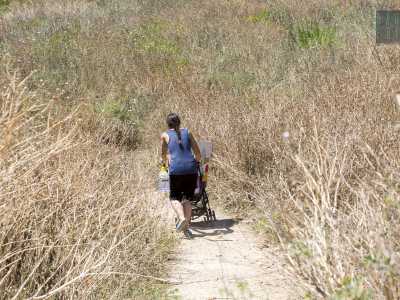Ora l�area seppur recintata � di fatto abbandonata, percorsa unicamente dai rom del precedente campo che si approvvigionano dell�acqua che fuoriesce da una fontana installata in via Mitolo nel 2014
